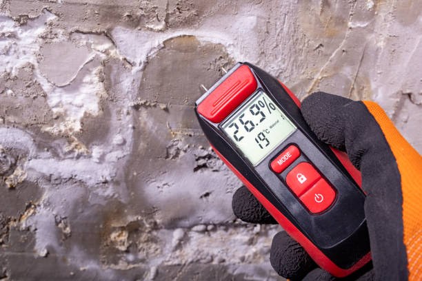 Best Local Mold Removal Service  in Grove City, PA